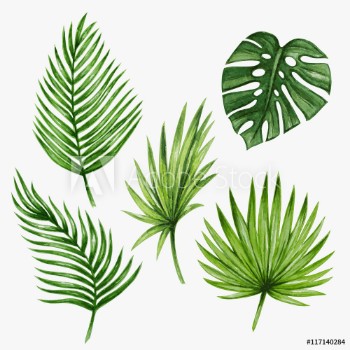Bild på Watercolor tropical palm leaves Vector illustration